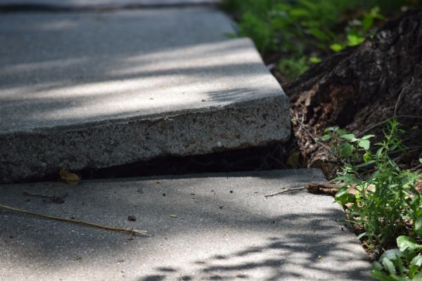 Cost of Sidewalk Leveling in Lansdale