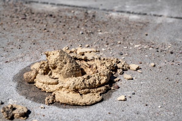 Cost of Driveway Slab Leveling in Lansdale